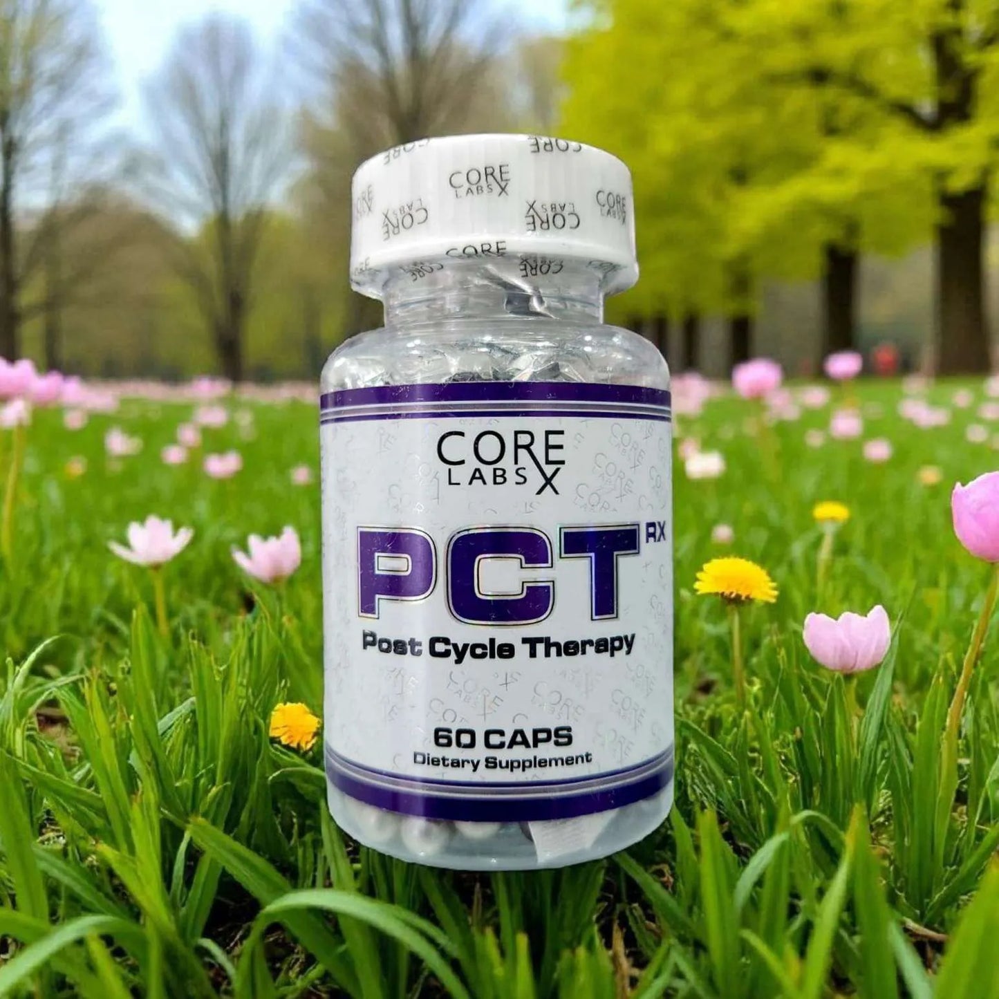 Core Labs X PCT 60 Capsules – Post Cycle Therepy
