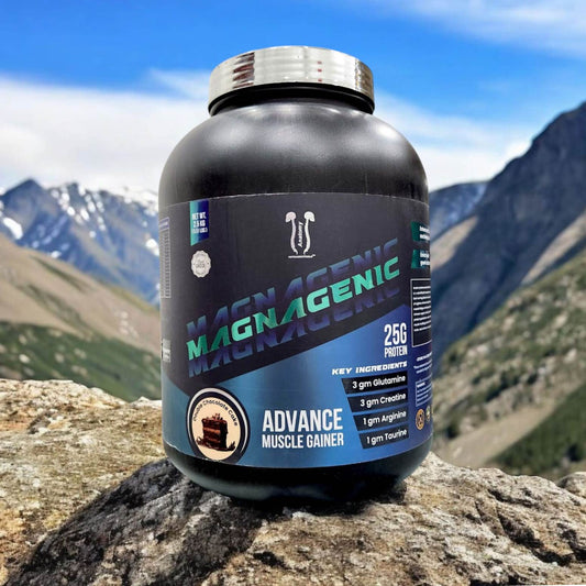 Anatomy Megnagenic Mass Gainer 2.7Kg