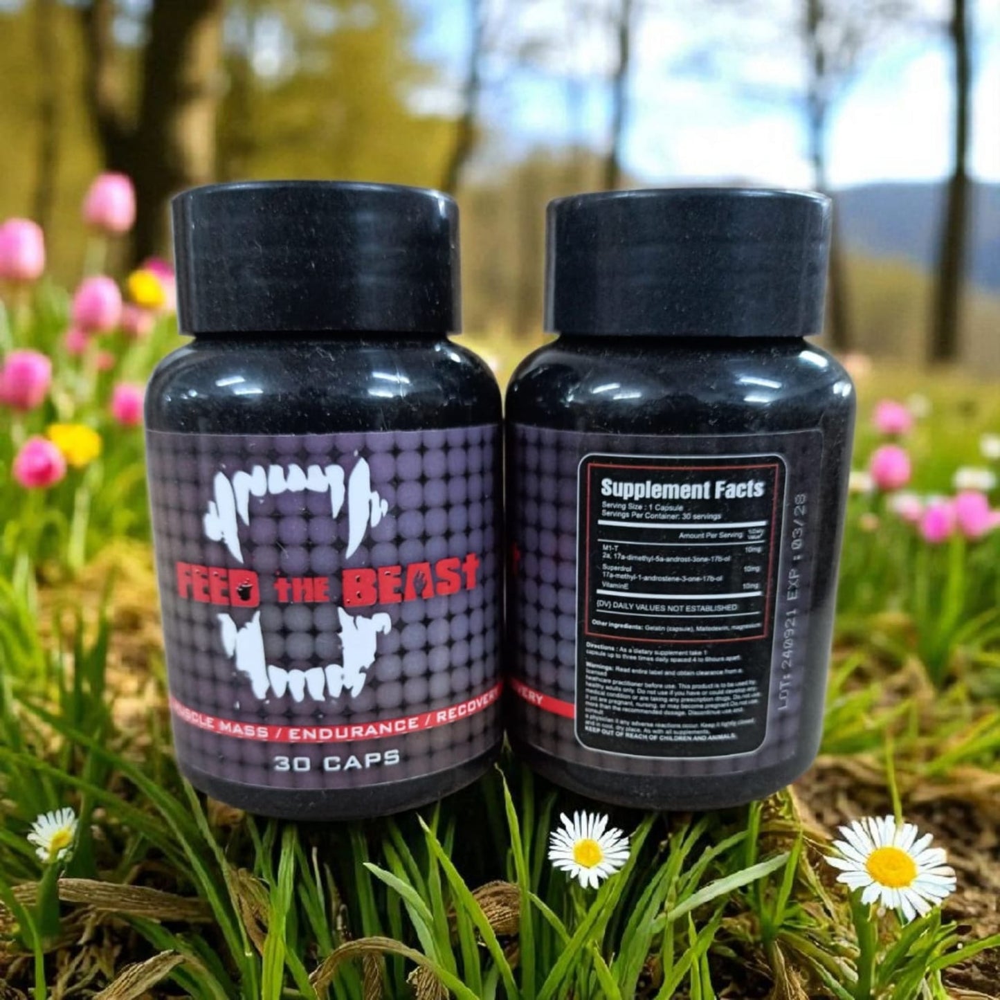 Beast the Feed 30 Capsules