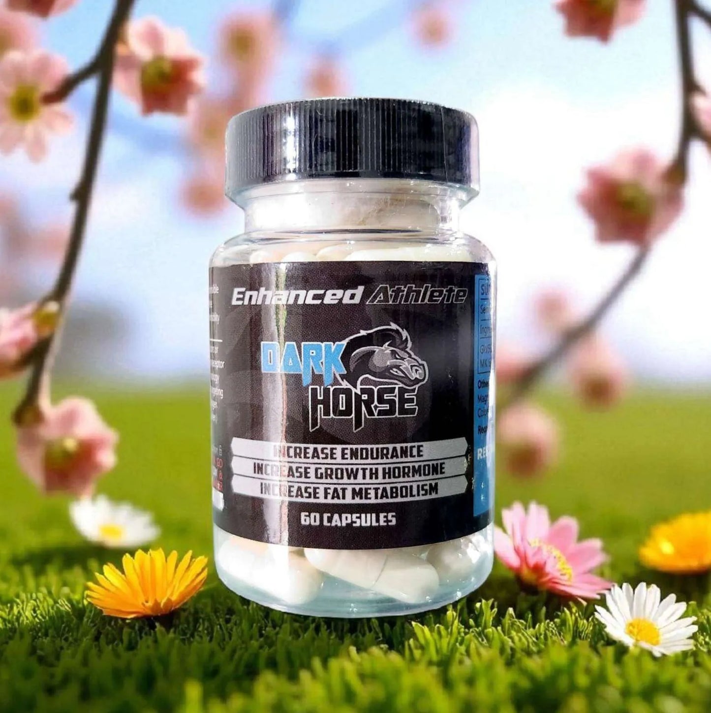 Enhanced DARK HORSE (GW-501516 + MK-677) 60 Capsules