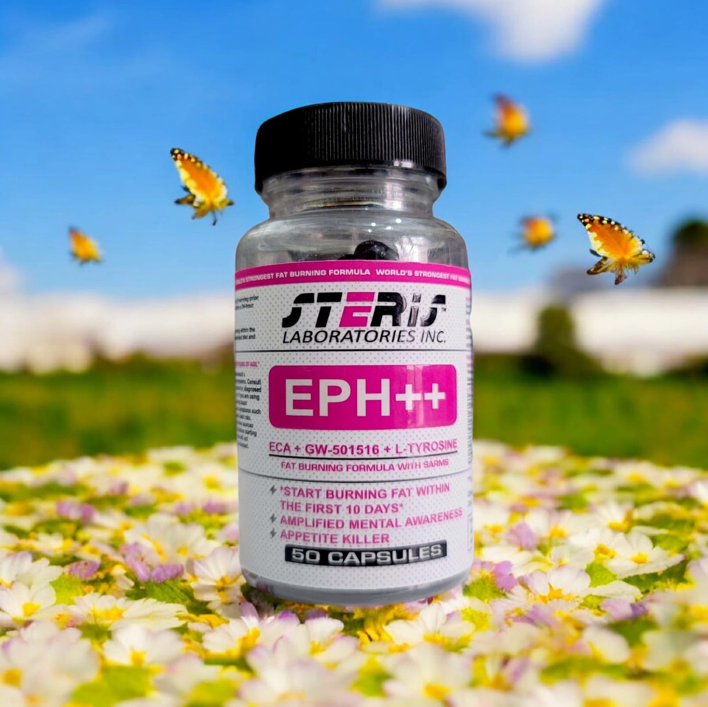 Steris Laboratories Eph++ 30 Capsules